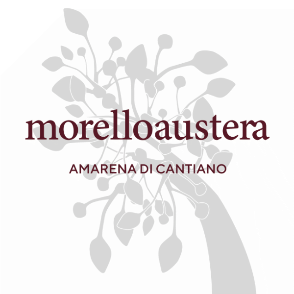 In attesa dell'immagine del prodotto